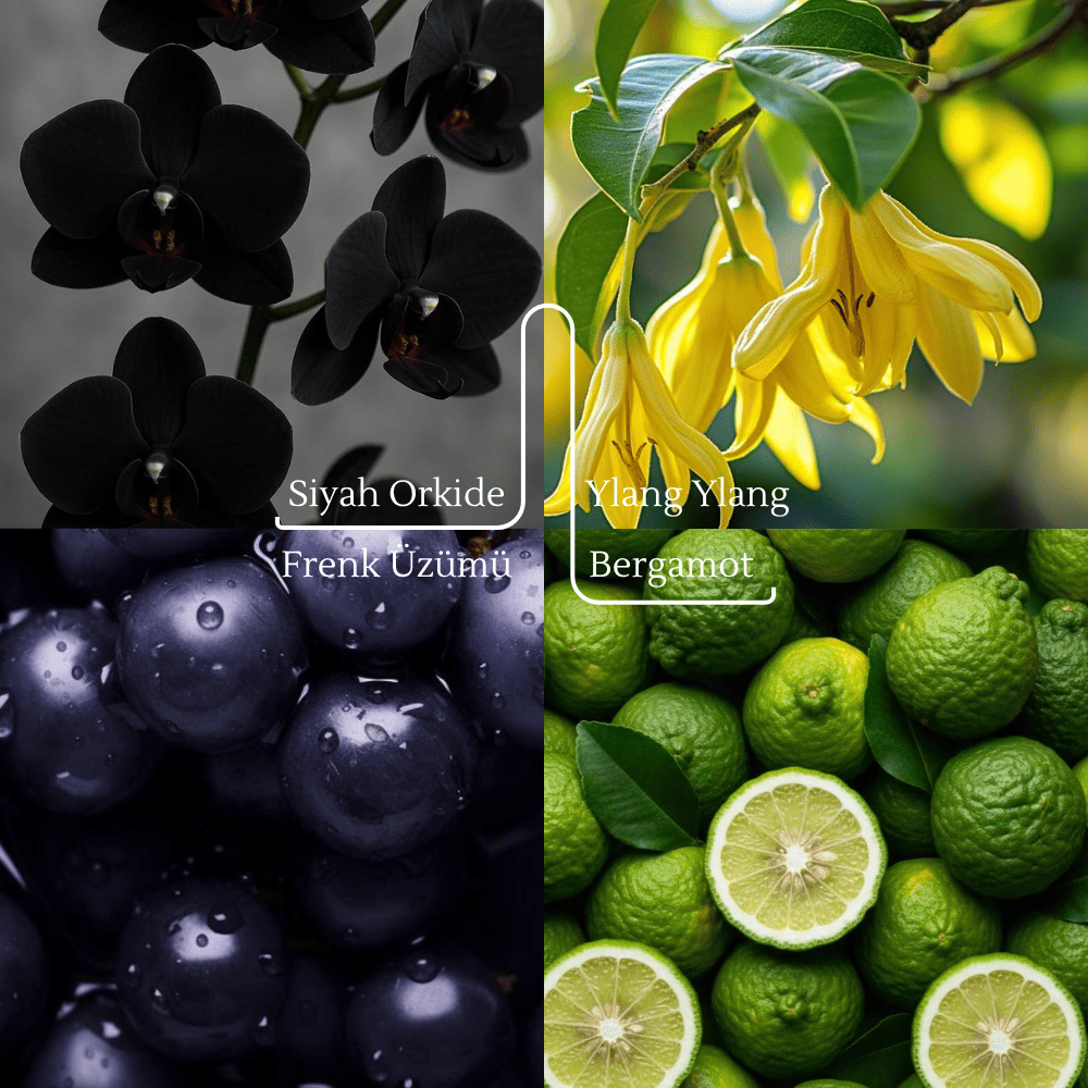 single-product-image